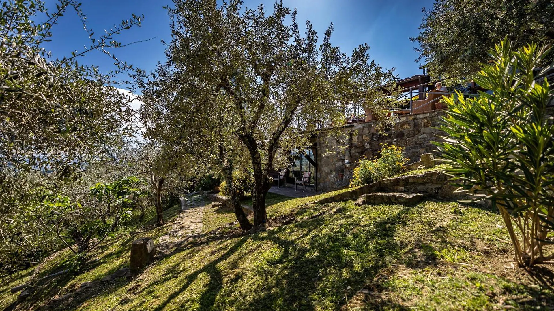 Bed Breakfast La Paggeria Trespiano