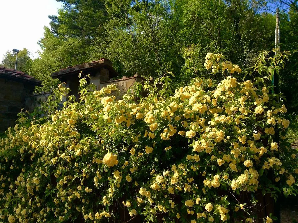 Bed Breakfast La Paggeria Trespiano 3*,  Italie